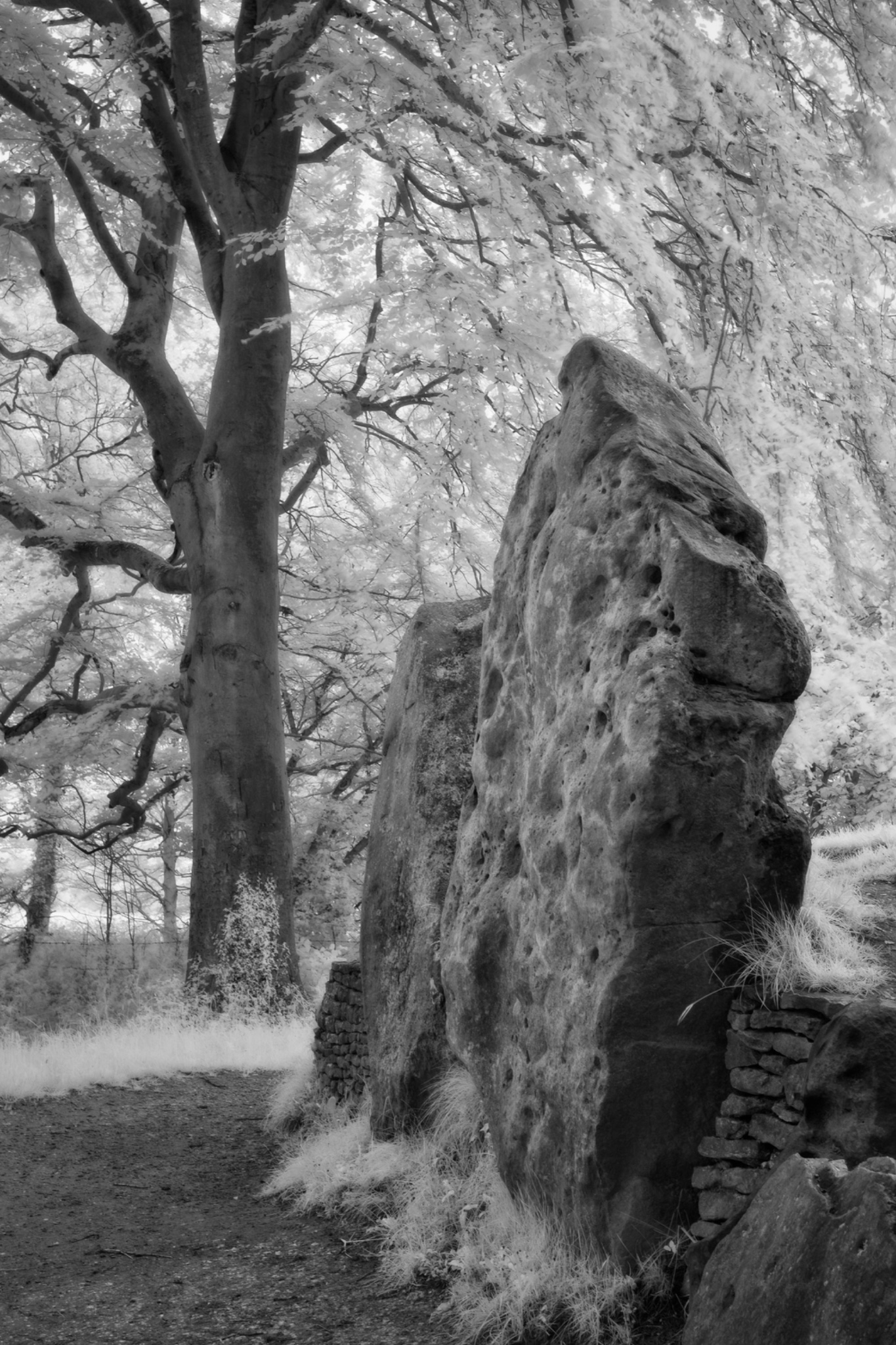 Wayland's Smithy, Oxfordshire, England.